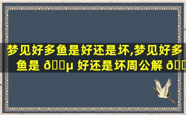 梦见好多鱼是好还是坏,梦见好多鱼是 🐵 好还是坏周公解 🌺 梦